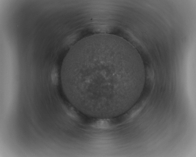 X0000112380080200908201531