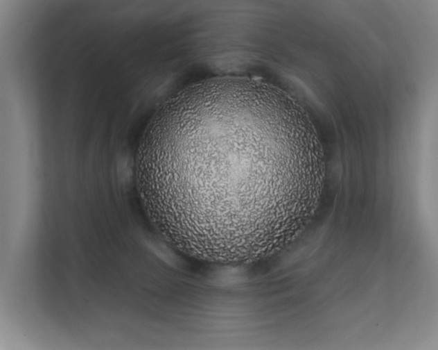 X0000112380081200908201531