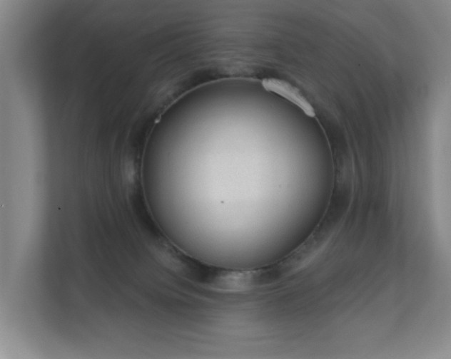 X0000112380084200908201531