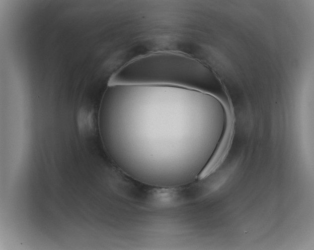 X0000112380088200908201531