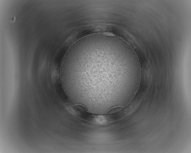 X0000112380091200908201531