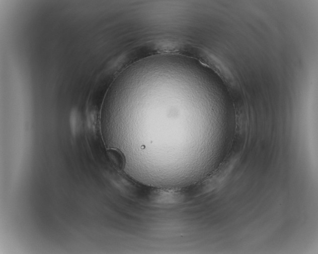 X0000112380093200908201531