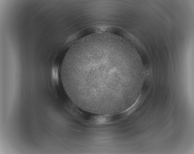 X0000112380094200908201531