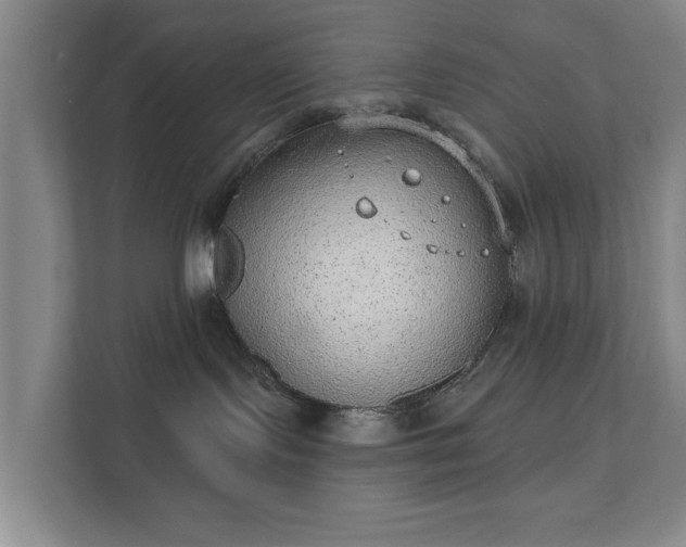 X0000112380095200908201531