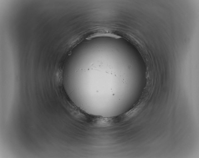 X0000112380096200908201531