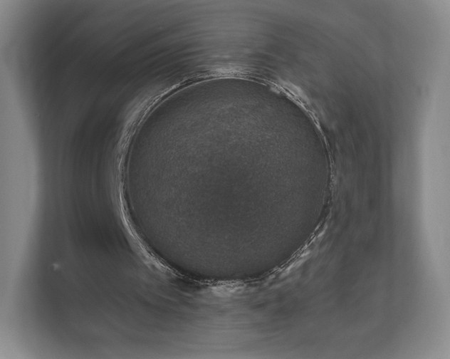 X0000112380097200908201530