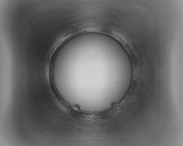 X0000112380098200908201530