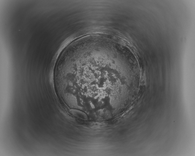 X0000112380099200908201530