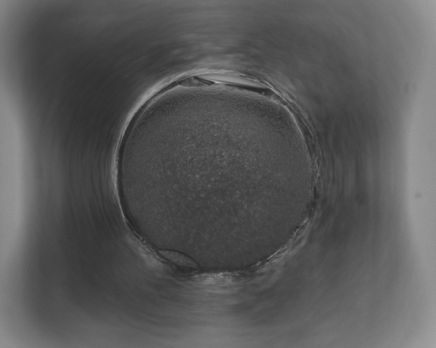 X0000112380100200908201530