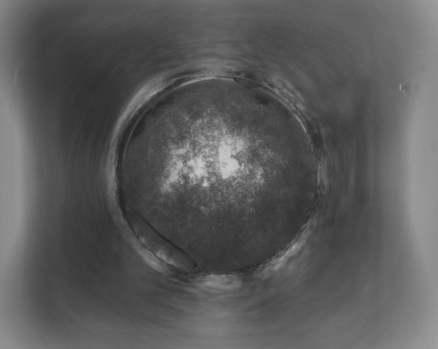 X0000112380101200908201530