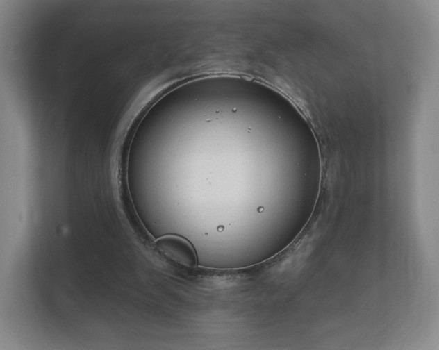 X0000112380103200908201530