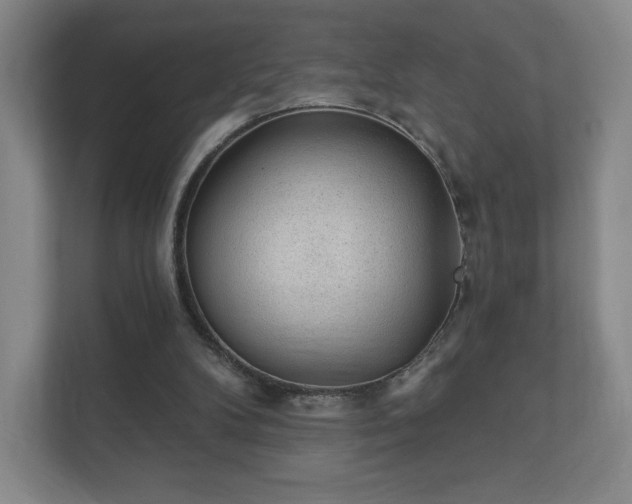 X0000112380104200908201530