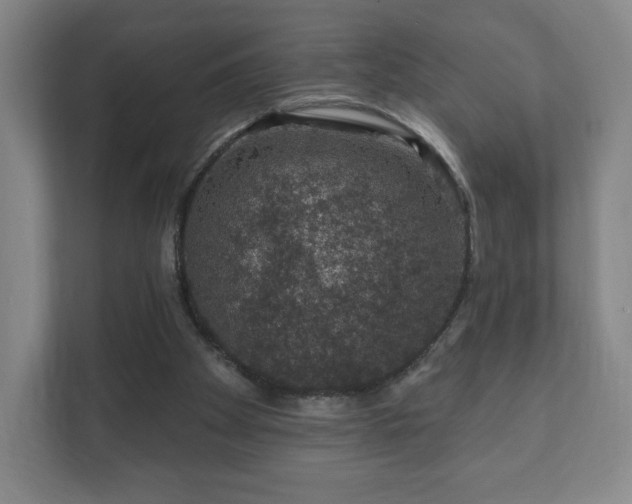 X0000112380105200908201530