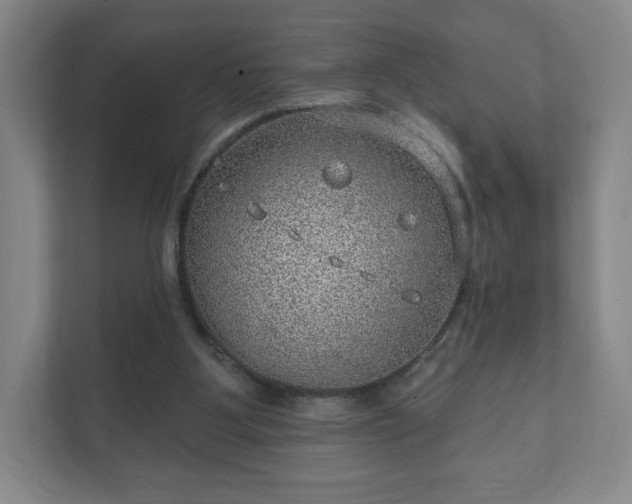 X0000112380107200908201530