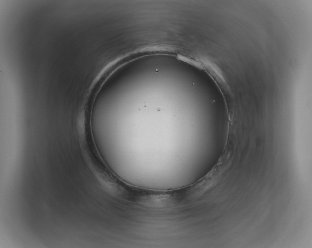 X0000112380108200908201530