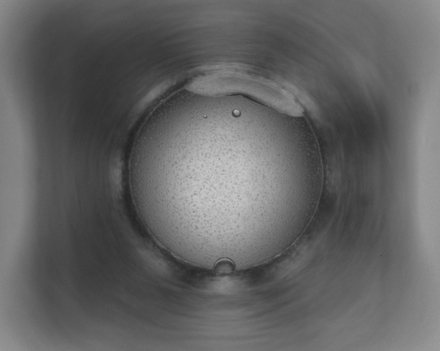 X0000112380111200908201530