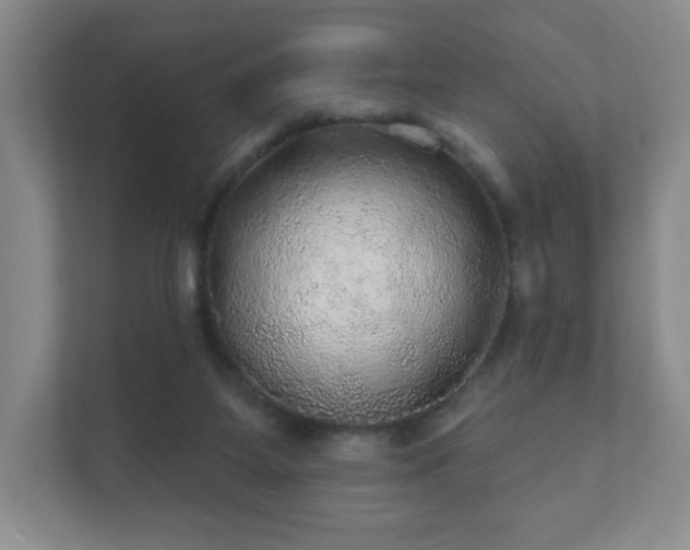 X0000112380115200908201530