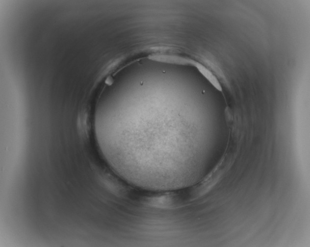 X0000112380116200908201530