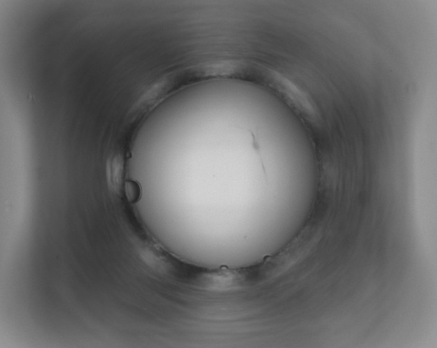 X0000112380118200908201530