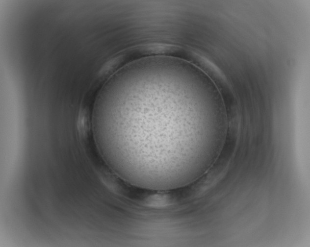 X0000112380119200908201530