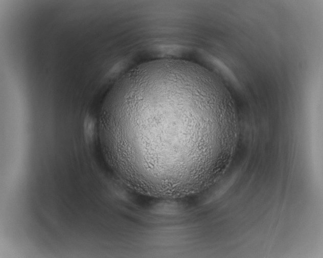 X0000112380123200908201530