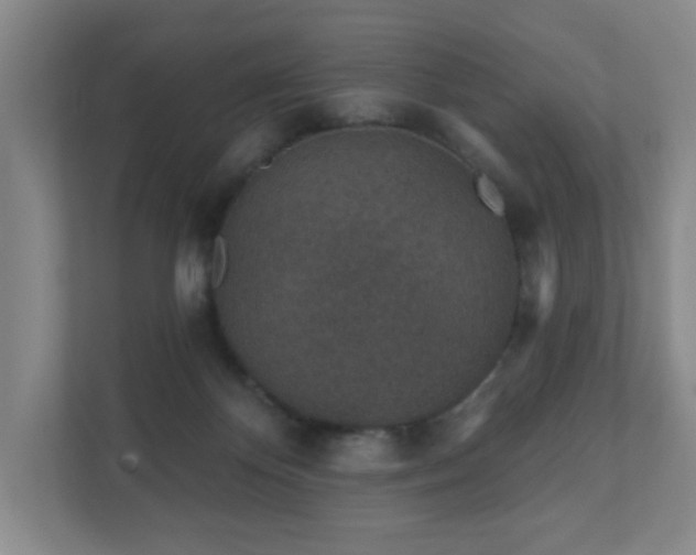 X0000112380124200908201530