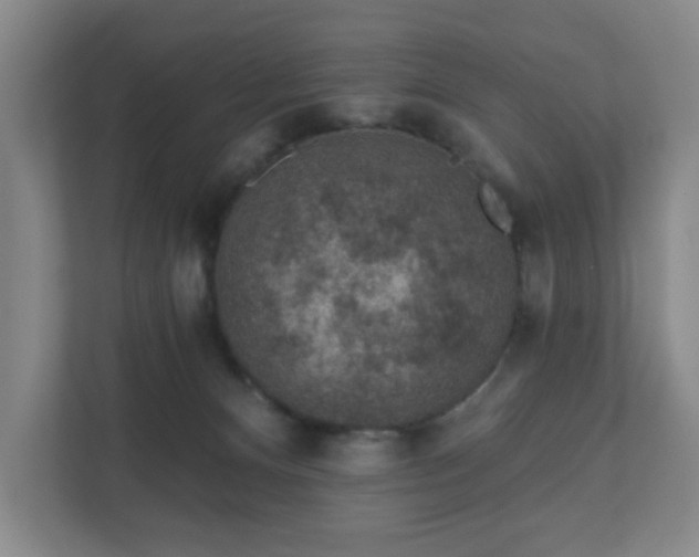 X0000112380128200908201530