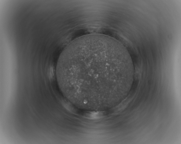 X0000112380130200908201530