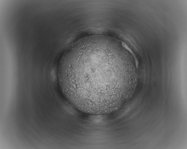 X0000112380131200908201530