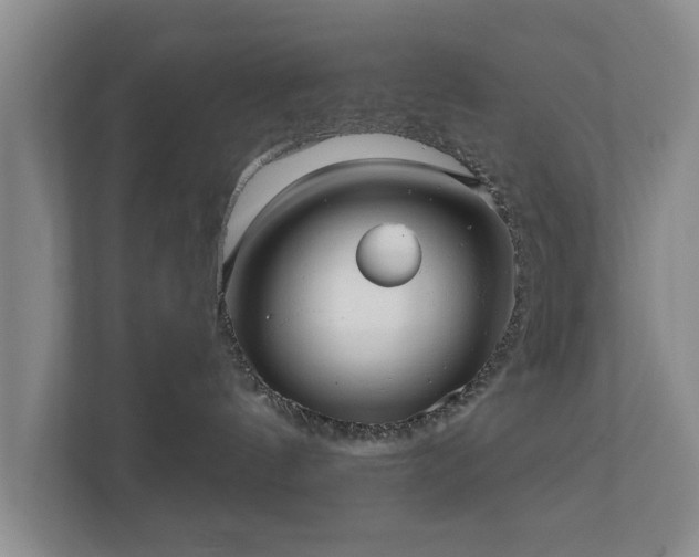 X0000112380144200908201529