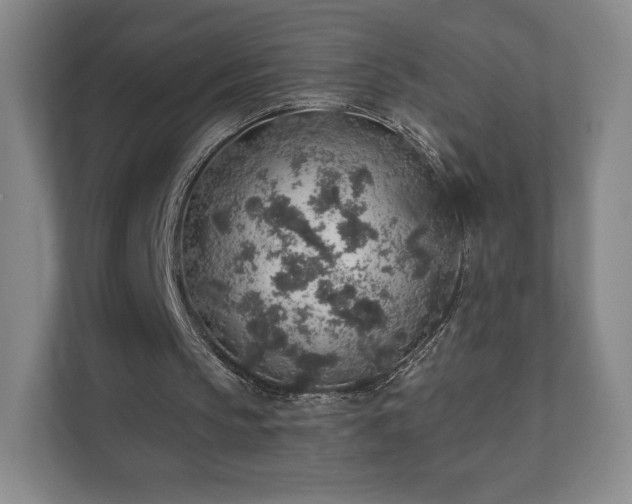 X0000112380145200908201529