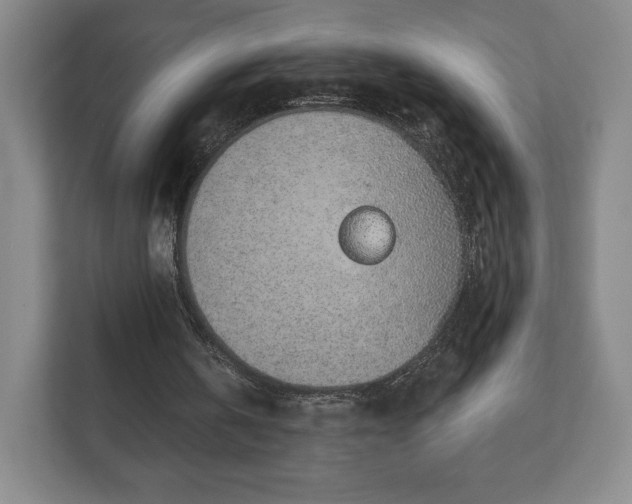 X0000112380146200908201529