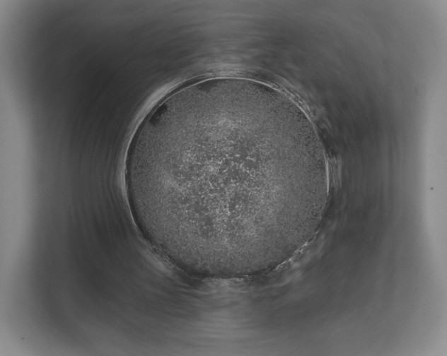 X0000112380147200908201529