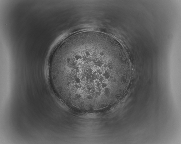 X0000112380149200908201529