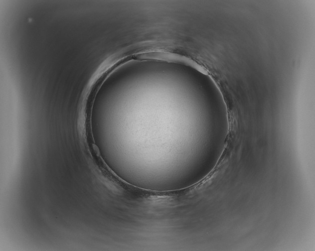 X0000112380150200908201529