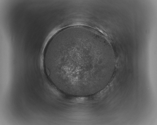 X0000112380152200908201529