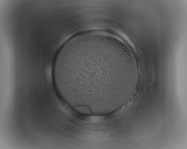 X0000112380154200908201529