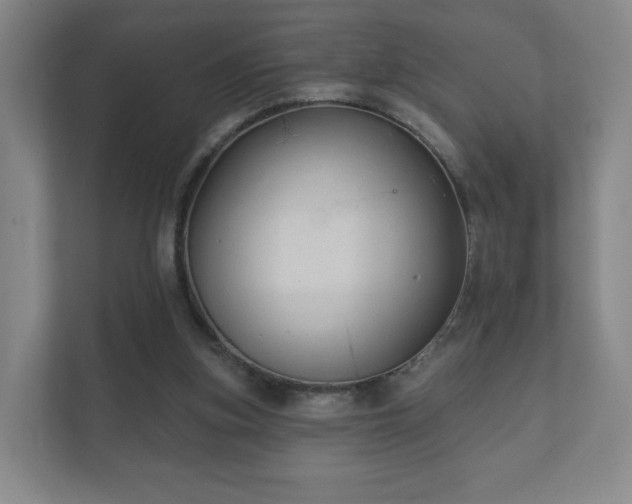 X0000112380155200908201529