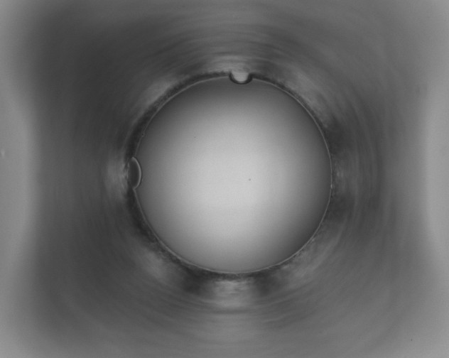 X0000112380160200908201529