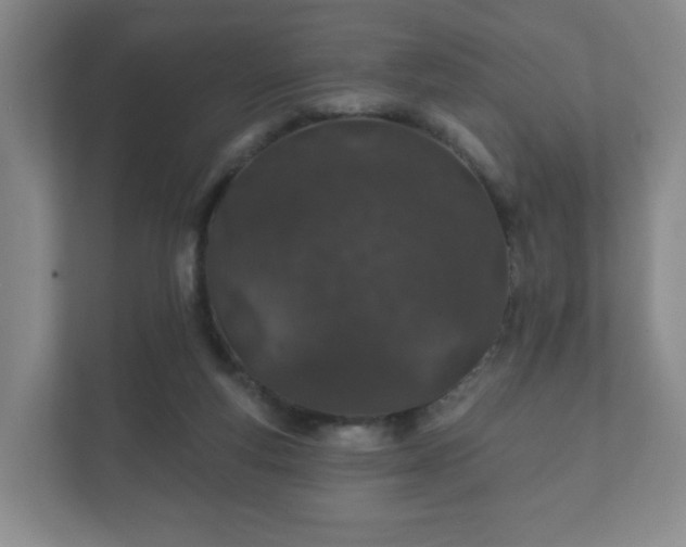 X0000112380163200908201529