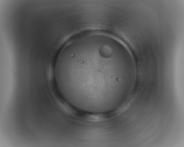 X0000112380164200908201529