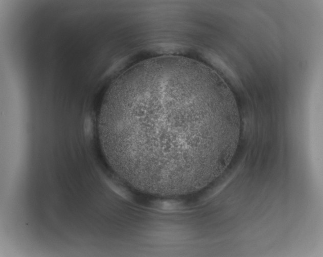 X0000112380165200908201529