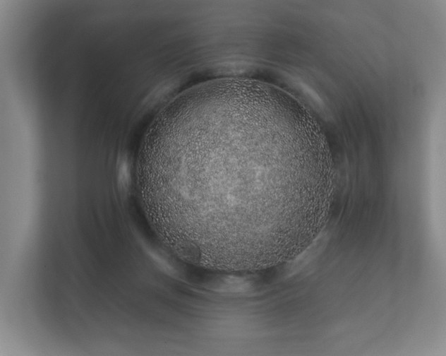 X0000112380166200908201529