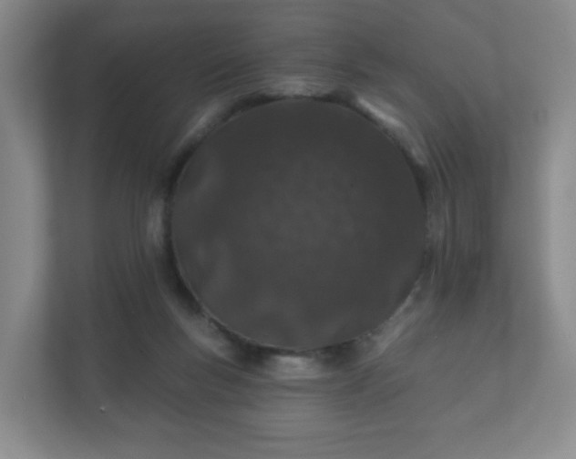 X0000112380167200908201529