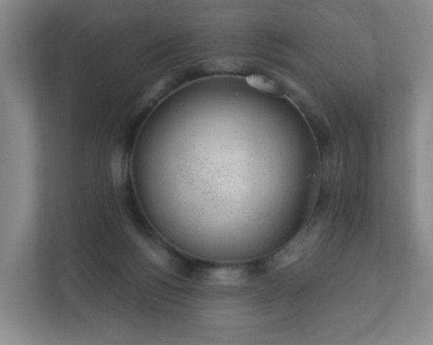 X0000112380168200908201529