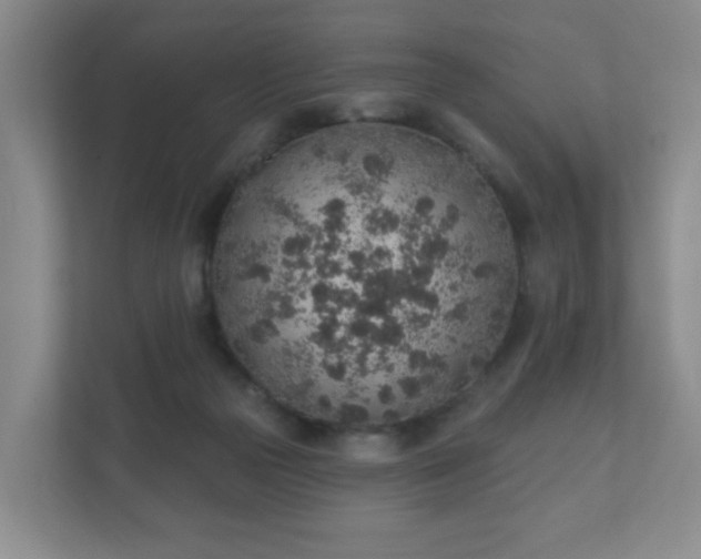 X0000112380169200908201529