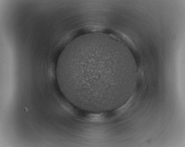 X0000112380170200908201529