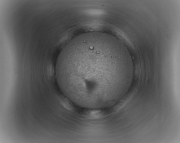 X0000112380173200908201529