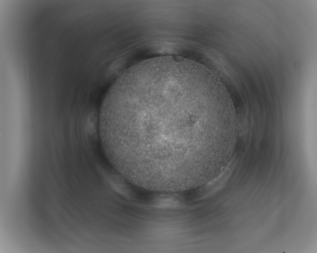 X0000112380175200908201529