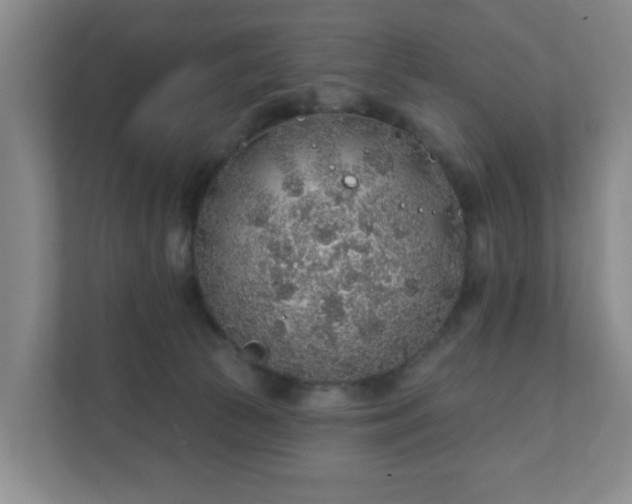 X0000112380177200908201529